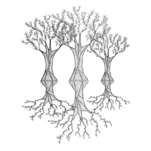 Hour Trees Vneck Womens Design