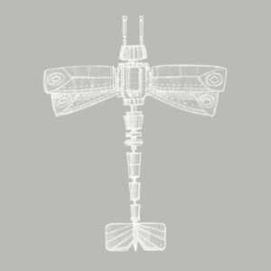 AJR Dragon fly Design